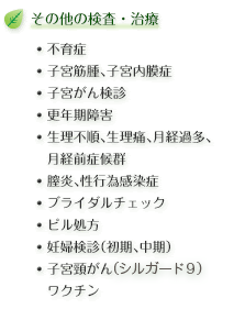 その他の検査・治療：不育症、子宮筋腫、子宮内膜症、子宮がん検診、更年期障害、生理不順、生理痛、月経過多、月経前症候群、膣炎、性行為感染症、ブライダルチェック、ピル処方、妊婦検診（初期、中期）、子宮頸がん（サーバリックス）ワクチン