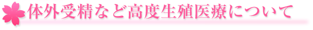 体外受精など高度生殖医療について